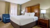 <b>Comfort Inn Acworth Room</b>. Images powered by <a href="https://iceportal.shijigroup.com/" title="IcePortal" target="_blank">IcePortal</a>.