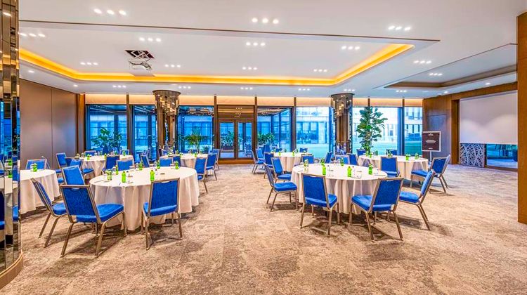 Radisson Collection Hotel, Vadistanbul Meeting