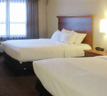 Quality Inn & Suites Detroit Lakes Room