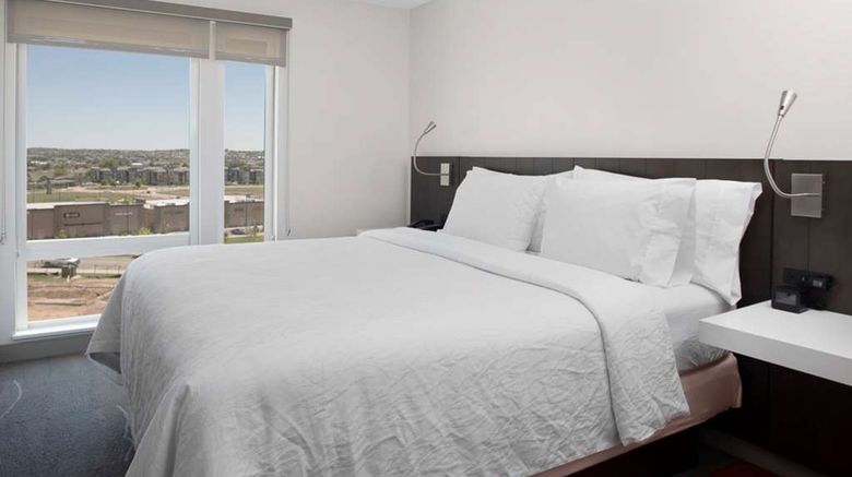 <b>Hilton Garden Inn Denver/Thornton Room</b>. Images powered by <a href="https://iceportal.shijigroup.com/" title="IcePortal" target="_blank">IcePortal</a>.