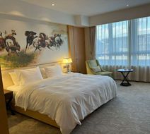 Hotels & Preference Hualing Tbilisi Room