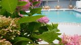 Comfort Inn & Suites Glen Mills Pool