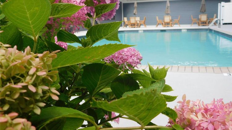 Comfort Inn & Suites Glen Mills Pool