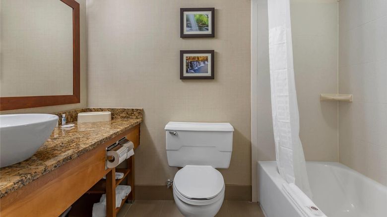 <b>Comfort Inn & Suites Glen Mills Room</b>. Images powered by <a href="https://iceportal.shijigroup.com/" title="IcePortal" target="_blank">IcePortal</a>.