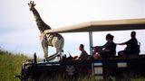 Premier Resort Mpongo Private Game Resrv Recreation