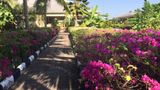 Oceanic Bay Hotel and Resort Restaurant