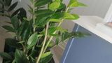 <b>Balladins Saintes Lobby</b>. Images powered by <a href="https://iceportal.shijigroup.com/" title="IcePortal" target="_blank">IcePortal</a>.