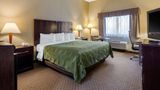 Quality Inn Smyrna Room