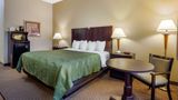 Quality Inn Smyrna Room