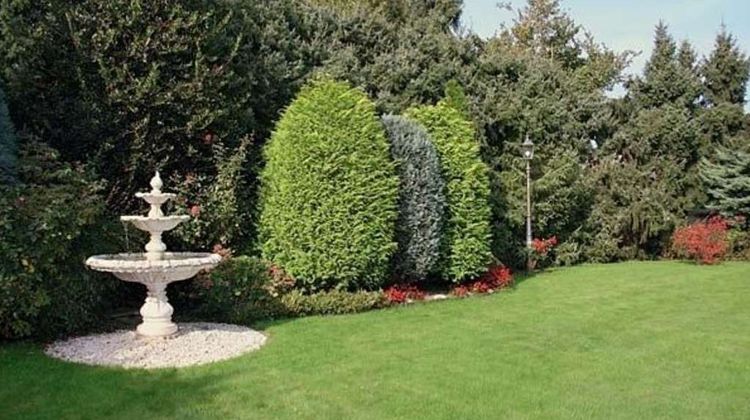 Garten-Hotel Ponick Other