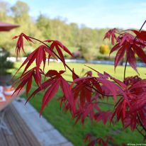 Domaine de Joinville-Chateau Hotel
