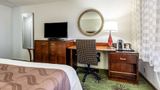 <b>Quality Inn & Suites Albert Lea Room</b>. Images powered by <a href="https://iceportal.shijigroup.com/" title="IcePortal" target="_blank">IcePortal</a>.