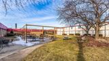 <b>Quality Inn & Suites Albert Lea Exterior</b>. Images powered by <a href="https://iceportal.shijigroup.com/" title="IcePortal" target="_blank">IcePortal</a>.