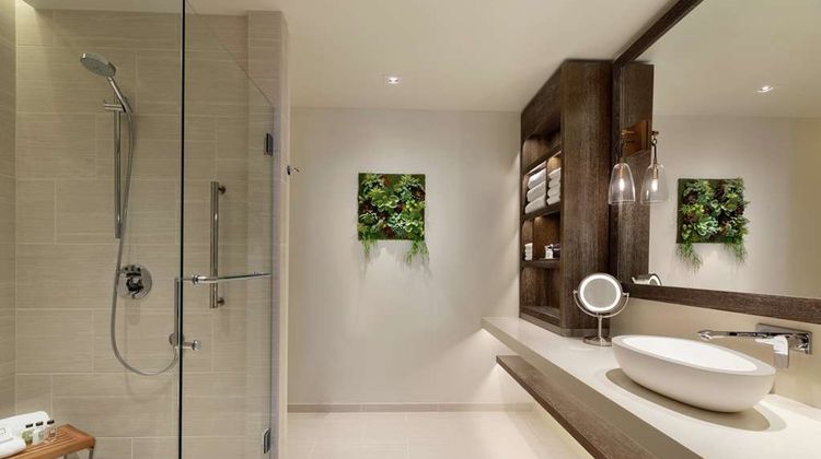 Hoodoo Moab, Curio Collection by Hilton Room