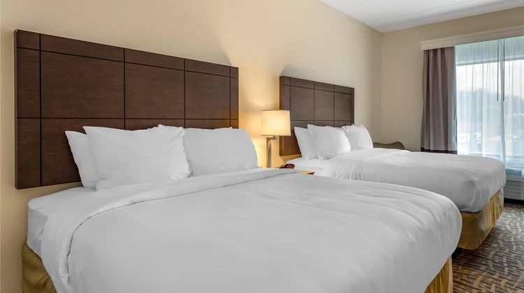 Comfort Inn and Suites Room
