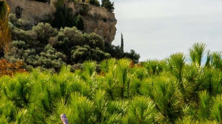 Best Western Hotel & Spa Coeur De Cassis Exterior