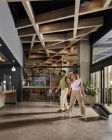 Ibis Torreon