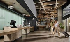 Ibis Torreon