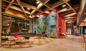 Ibis Torreon