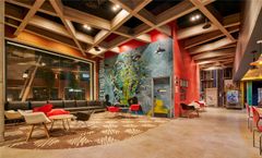 Ibis Torreon
