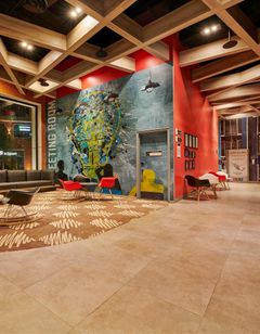 Ibis Torreon