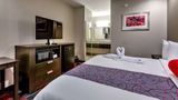 <b>Americas Best Value Inn/Suites IAH Arpt Room</b>. Images powered by <a href="https://iceportal.shijigroup.com/" title="IcePortal" target="_blank">IcePortal</a>.
