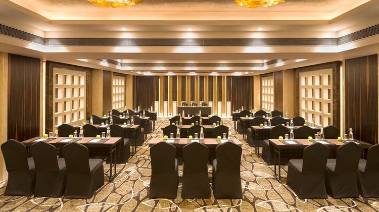 Radisson Blu Gorakhpur Meeting