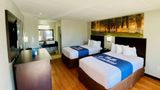 <b>Days Inn Maysville Room</b>. Images powered by <a href="https://iceportal.shijigroup.com/" title="IcePortal" target="_blank">IcePortal</a>.