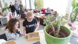 Hotel Alizes Recreation