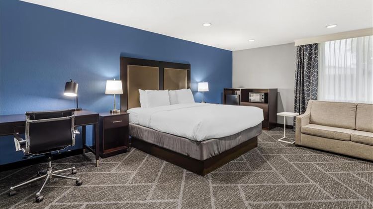 Best Western Mayo Clinic Area/St Mary's Room