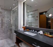 DoubleTree by Hilton Celaya Room