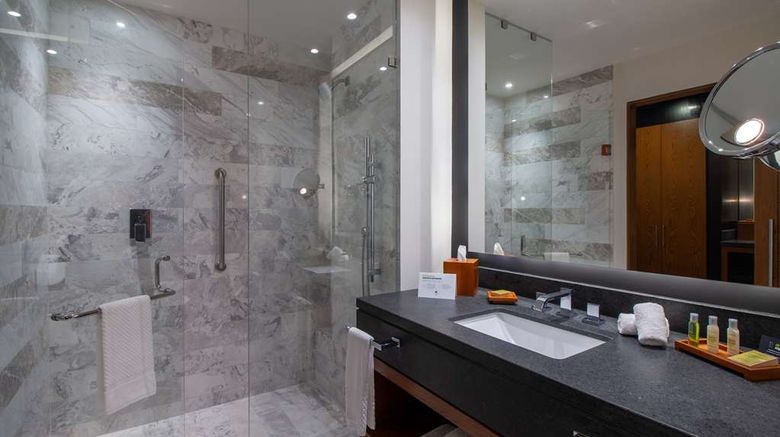 <b>DoubleTree by Hilton Celaya Room</b>. Images powered by <a href="https://iceportal.shijigroup.com/" title="IcePortal" target="_blank">IcePortal</a>.