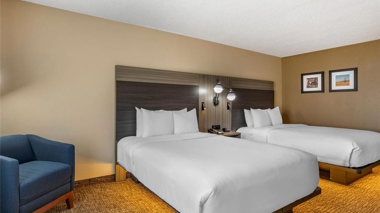 Comfort Inn & Suites Dallas-Addison Room