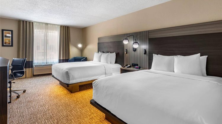 Comfort Inn & Suites Dallas-Addison Room