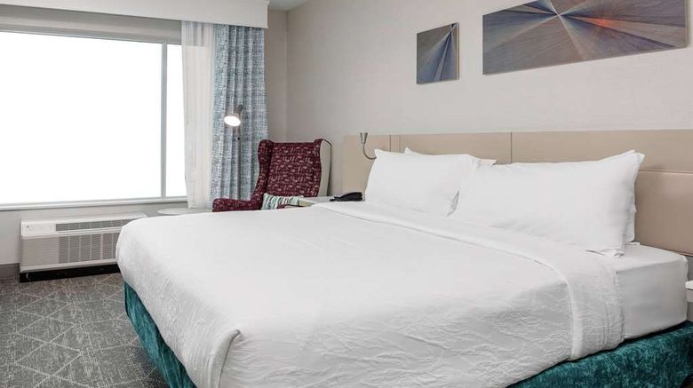 <b>Hilton Garden Inn Downtown Room</b>. Images powered by <a href="https://iceportal.shijigroup.com/" title="IcePortal" target="_blank">IcePortal</a>.