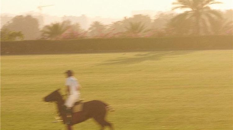 Melia Desert Palm Health