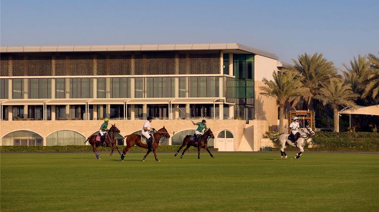 Melia Desert Palm Health