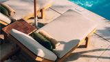 Melia Desert Palm Other