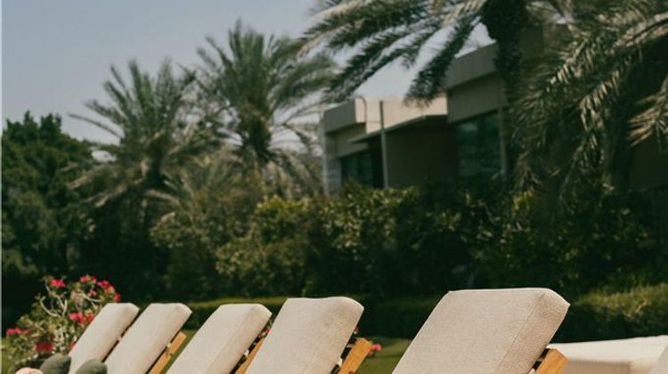 Melia Desert Palm Other