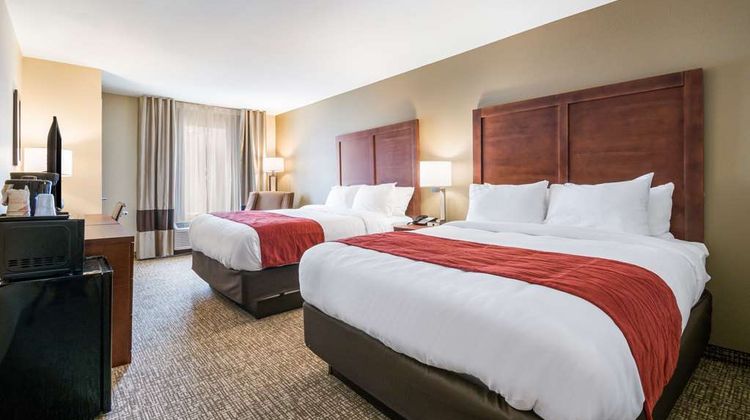Comfort Inn & Stes Harrisburg Hershey W Room