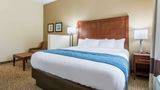 Comfort Inn & Stes Harrisburg Hershey W Suite