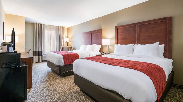 Comfort Inn & Stes Harrisburg Hershey W Room
