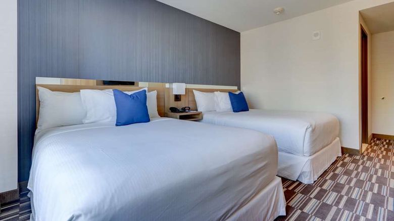 <b>Microtel Inn & Suites Long Island City Room</b>. Images powered by <a href="https://iceportal.shijigroup.com/" title="IcePortal" target="_blank">IcePortal</a>.