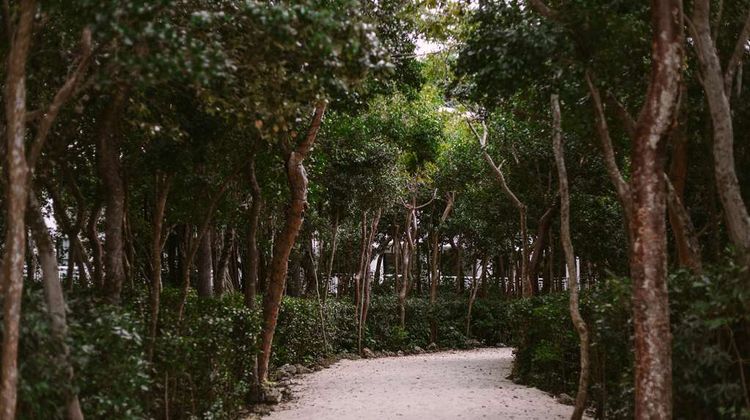 Baker's Cay Resort, Curio Coll Other