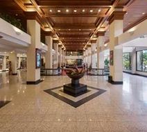 Barcelo San Jose Lobby