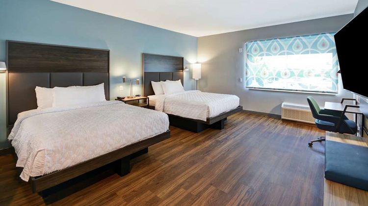 Tru by Hilton Corpus Christi Room
