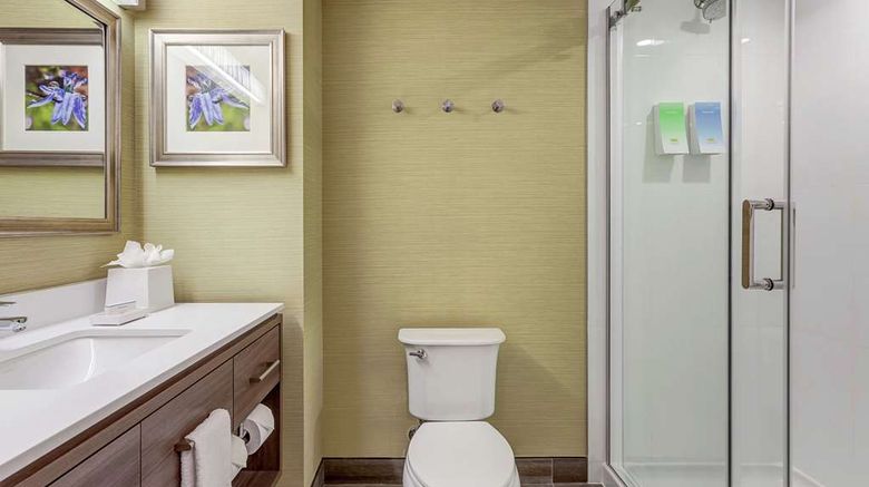<b>Home2 Suites by Hilton Toronto Room</b>. Images powered by <a href="https://iceportal.shijigroup.com/" title="IcePortal" target="_blank">IcePortal</a>.