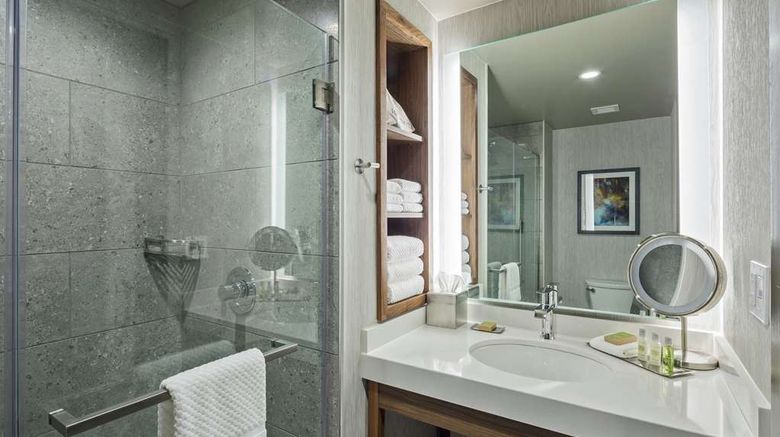 <b>The Bevy Boerne a DoubleTree Hotel Room</b>. Images powered by <a href="https://iceportal.shijigroup.com/" title="IcePortal" target="_blank">IcePortal</a>.