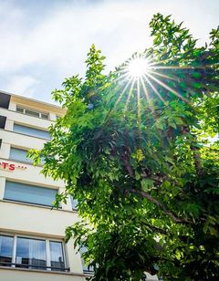 Hotel Des Arts