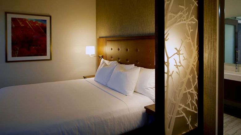 <b>Hyatt Place Las Vegas Silverton Village Room</b>. Images powered by <a href="https://iceportal.shijigroup.com/" title="IcePortal" target="_blank">IcePortal</a>.
